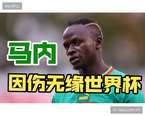 马内强大的禁区冲击和造犯规能力,是塞内加尔阵地战的重要手段。 马内强大的禁区冲击和造犯规能力,是塞内加尔阵地战的重要手段。